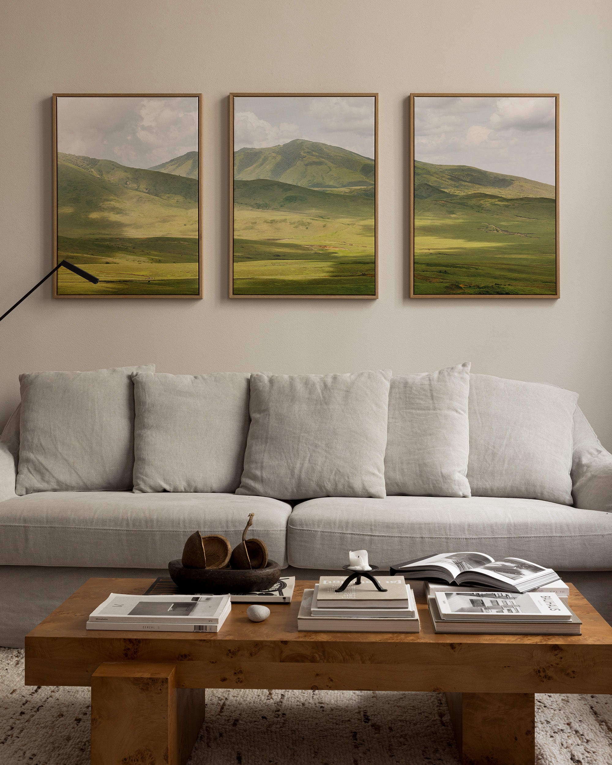 Highlands Abstract Printed Canvas - 3 Pieces